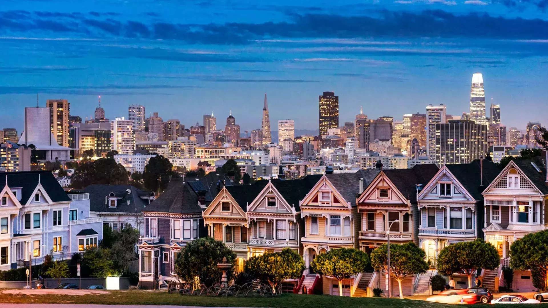 Painted Ladies